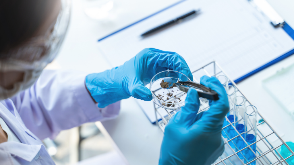 Forensic Life Care Planning showing expert medical evaluation and future care cost analysis for legal and injury-related cases.